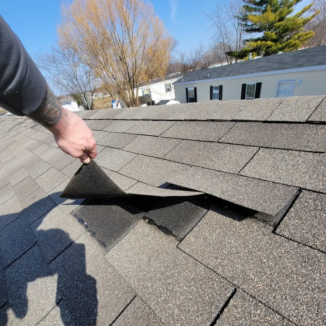 Shingle Inspection